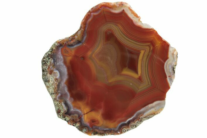 Colorful, Polished Condor Agate - Argentina #209614